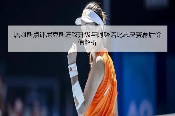 詹姆斯点评尼克斯进攻升级与阿努诺比总决赛幕后价值解析