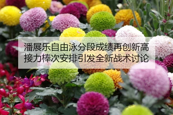 潘展乐自由泳分段成绩再创新高 接力棒次安排引发全新战术讨论