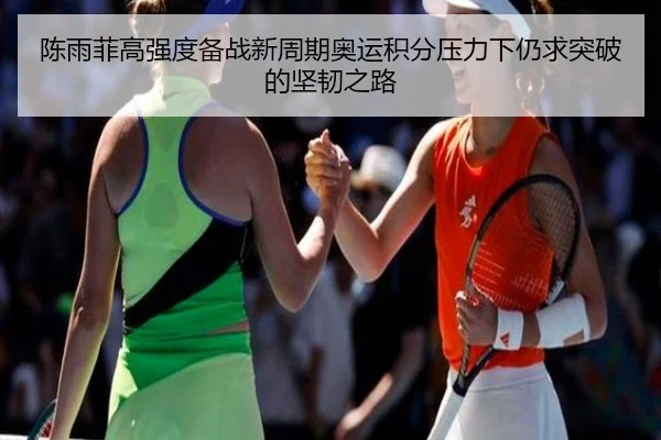 陈雨菲高强度备战新周期奥运积分压力下仍求突破的坚韧之路